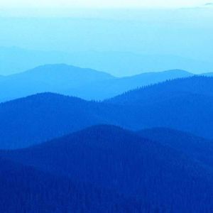 Meet your Posher, Shawn